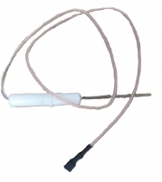 Electrode d'ionisation